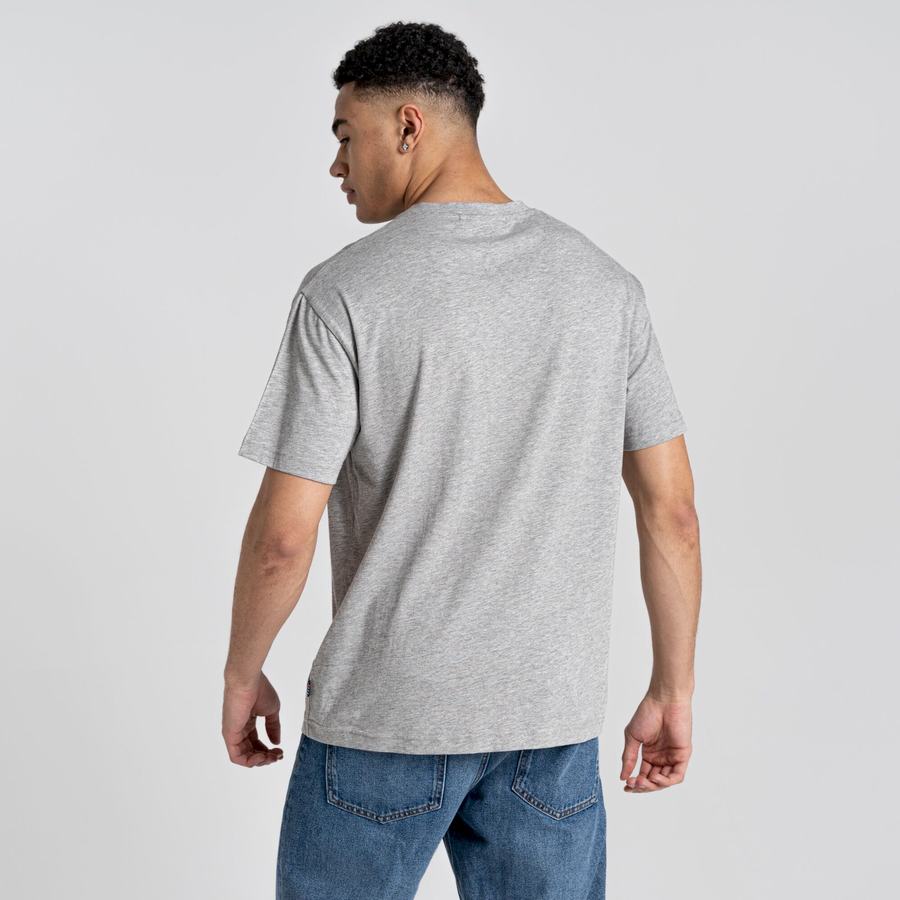 Men's Craghoppers Crosby Short Sleeved T-Shirts Grey | CKG5590CV