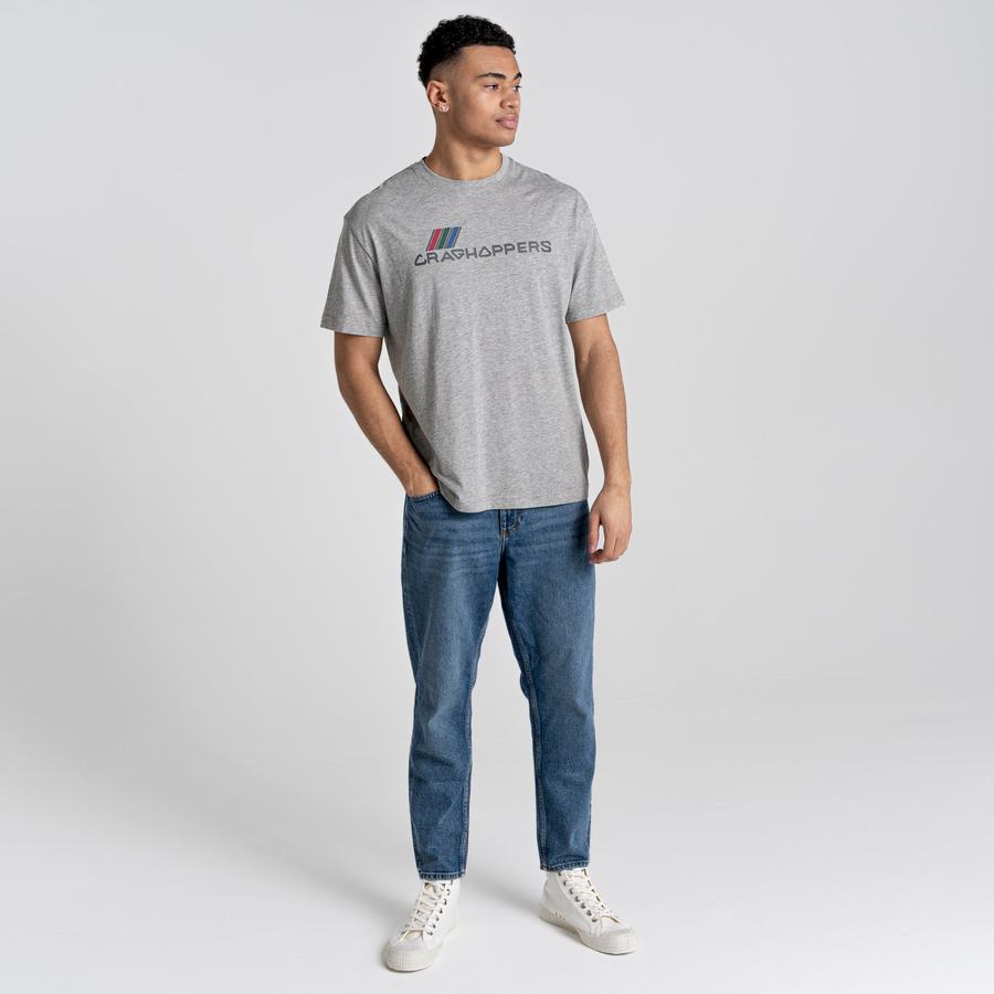 Men's Craghoppers Crosby Short Sleeved T-Shirts Grey | CKG5590CV