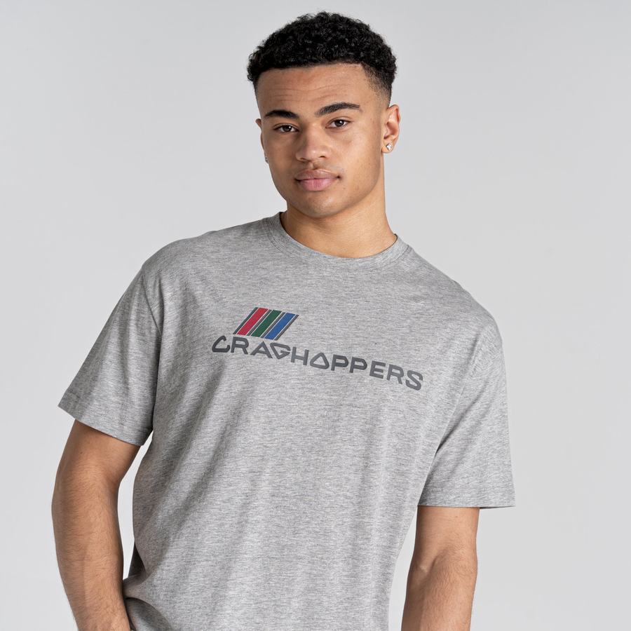 Men's Craghoppers Crosby Short Sleeved T-Shirts Grey | CKG5590CV