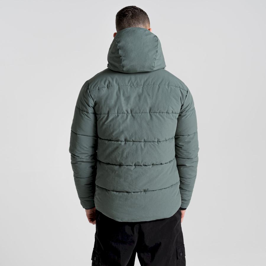 Men's Craghoppers Dunbeath Insulated Hooded Jackets Green | GDJ4732NO