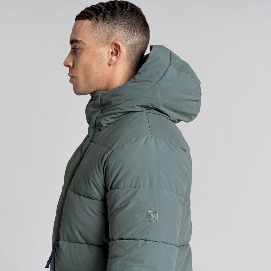 Men's Craghoppers Dunbeath Insulated Hooded Jackets Green | GDJ4732NO