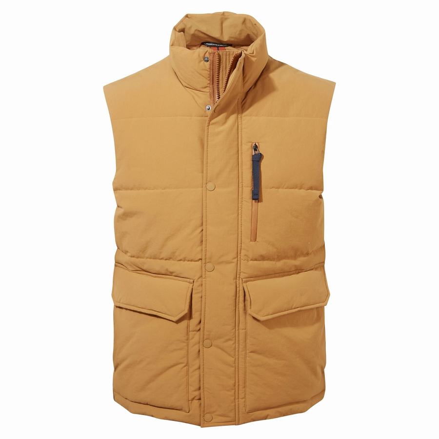 Men\'s Craghoppers Dunbeath Vest Gilets Grey Brown | TXZ9364TN