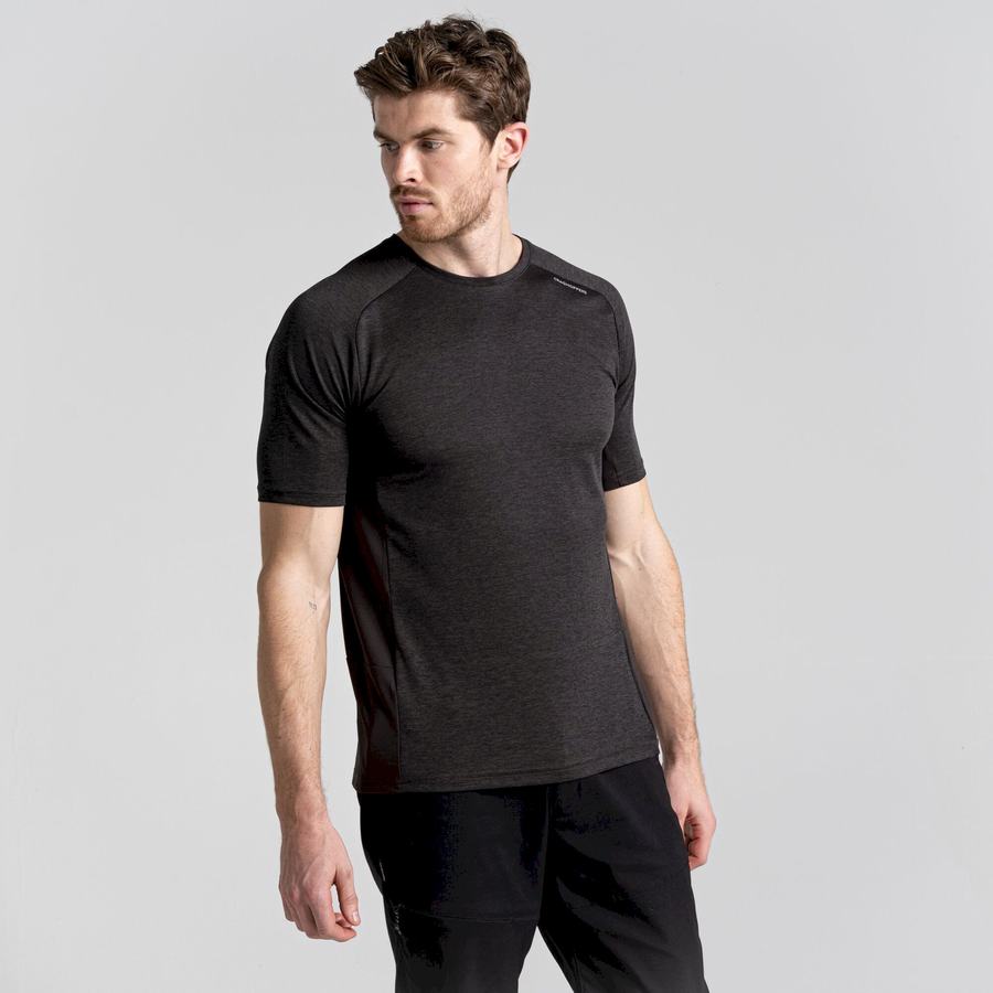 Men's Craghoppers Dynamic Pro Short Sleeved T-Shirts Black | GCP2250XU