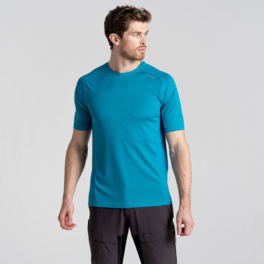 Men's Craghoppers Dynamic Pro Short Sleeved T-Shirts Blue | GOM7150XW