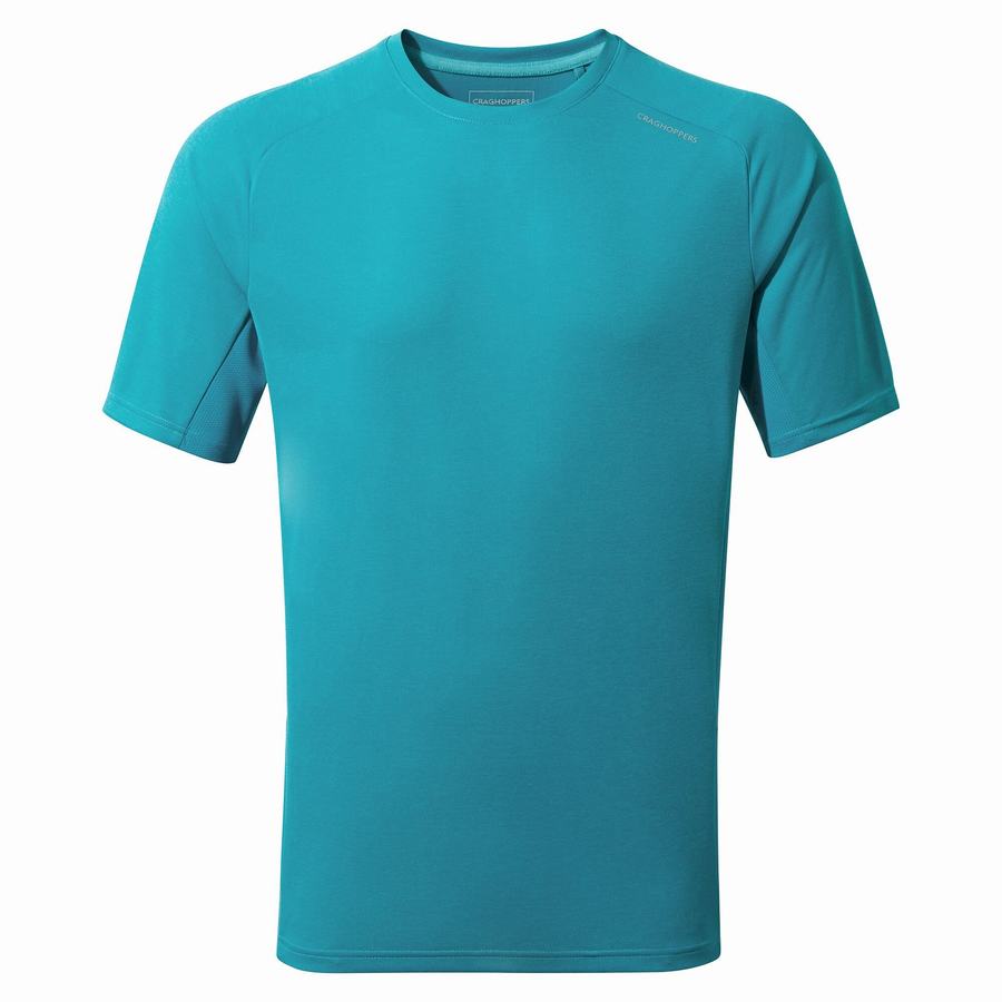 Men\'s Craghoppers Dynamic Pro Short Sleeved T-Shirts Blue | GOM7150XW