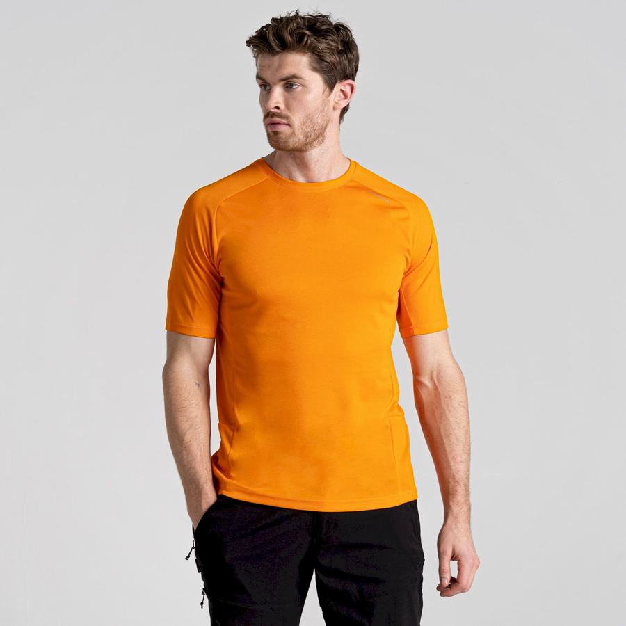 Men's Craghoppers Dynamic Pro Short Sleeved T-Shirts Orange | KQP8118AI