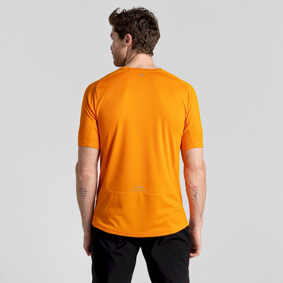 Men's Craghoppers Dynamic Pro Short Sleeved T-Shirts Orange | KQP8118AI