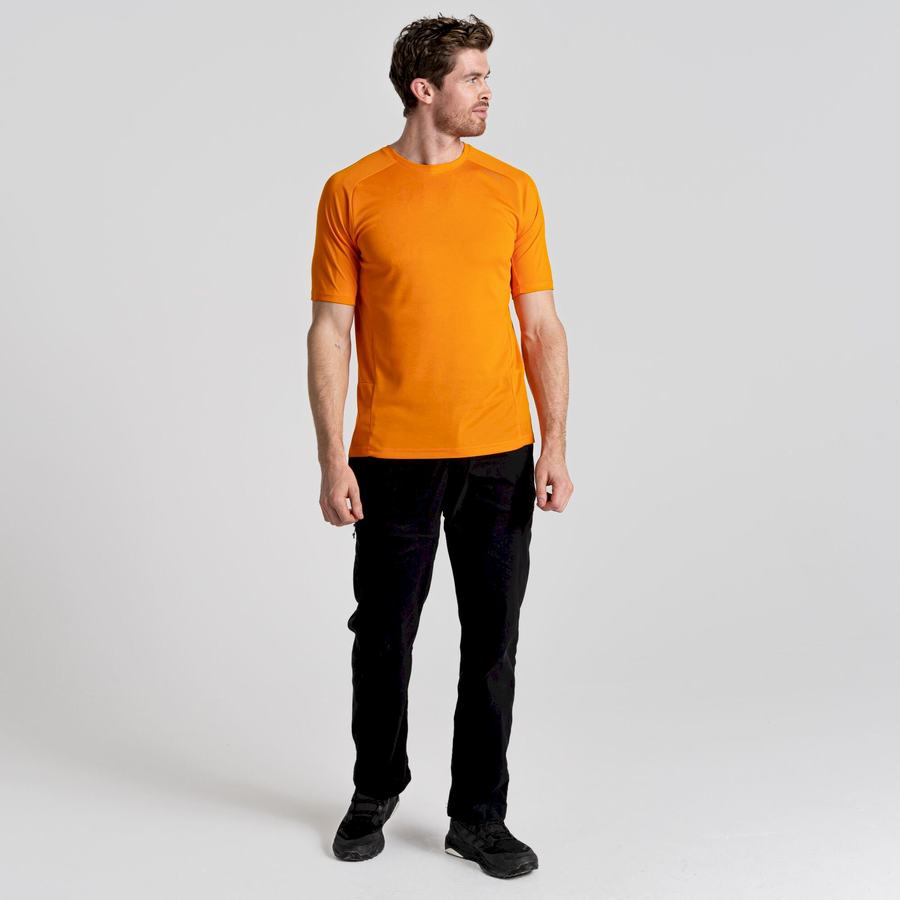 Men's Craghoppers Dynamic Pro Short Sleeved T-Shirts Orange | KQP8118AI