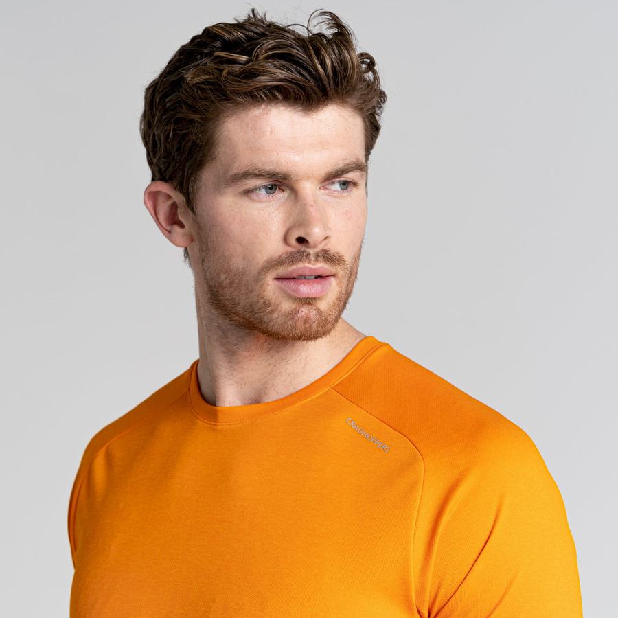 Men's Craghoppers Dynamic Pro Short Sleeved T-Shirts Orange | KQP8118AI