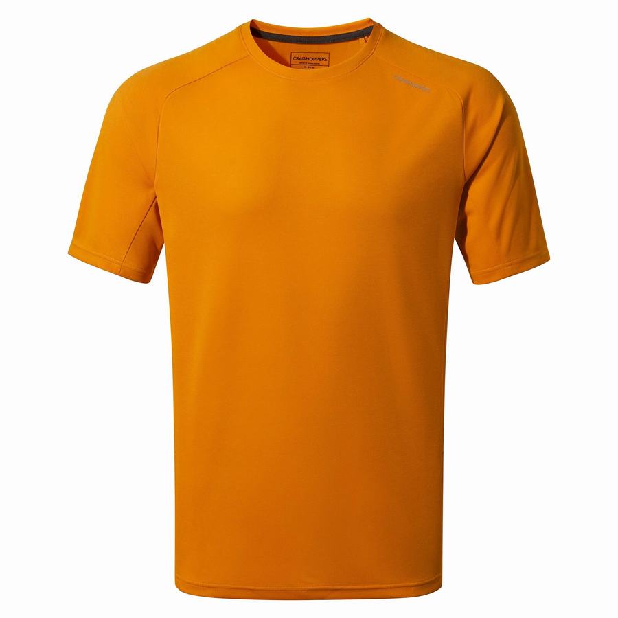 Men\'s Craghoppers Dynamic Pro Short Sleeved T-Shirts Orange | KQP8118AI