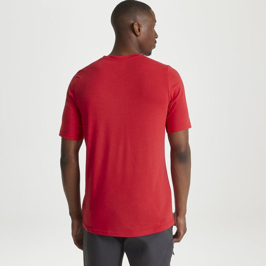 Men's Craghoppers Dynamic Short Sleeved Sriracha Red T-Shirts Red | AEG8110OZ