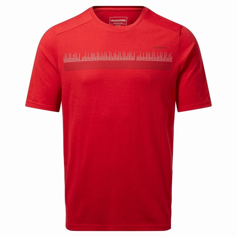 Men's Craghoppers Dynamic Short Sleeved Sriracha Red T-Shirts Red | AEG8110OZ