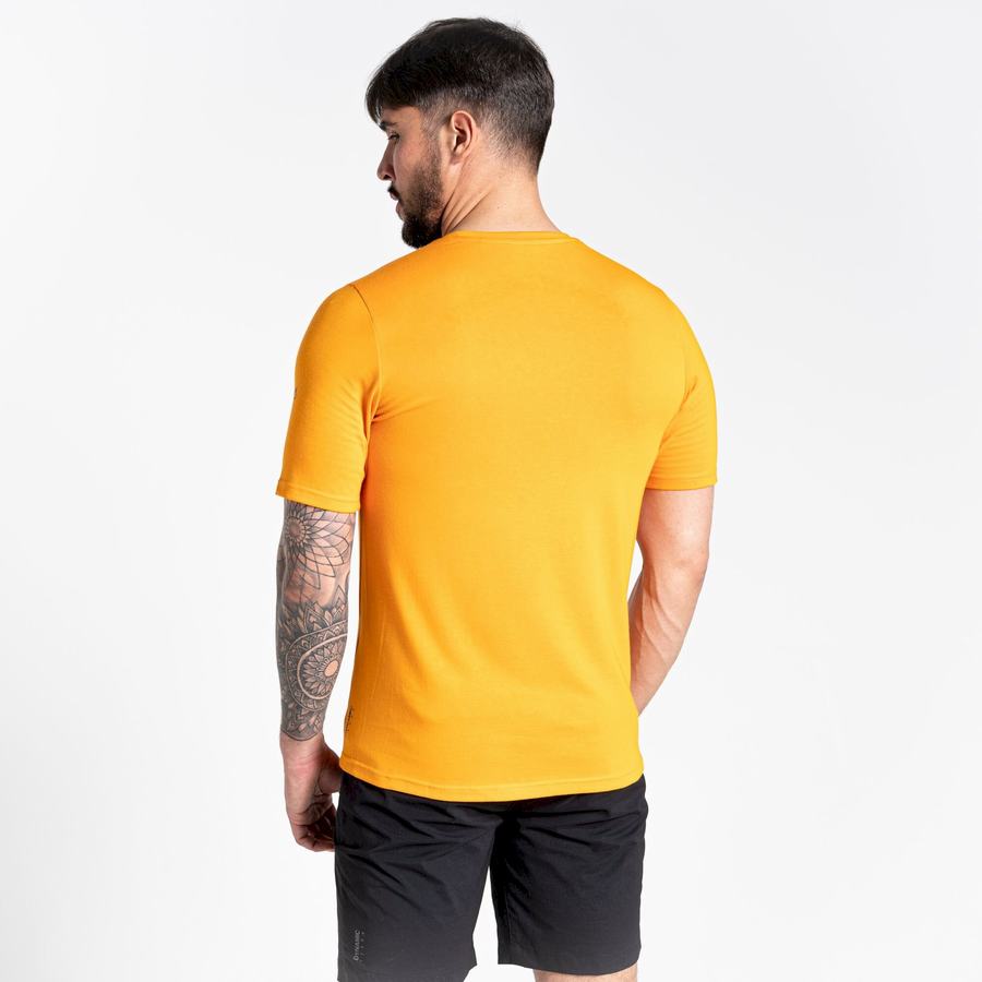 Men's Craghoppers Dynamic Short Sleeved T-Shirts Orange | RSR337JK