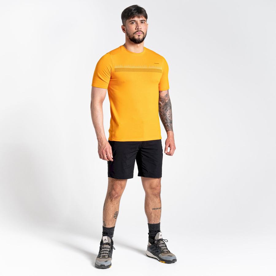 Men's Craghoppers Dynamic Short Sleeved T-Shirts Orange | RSR337JK