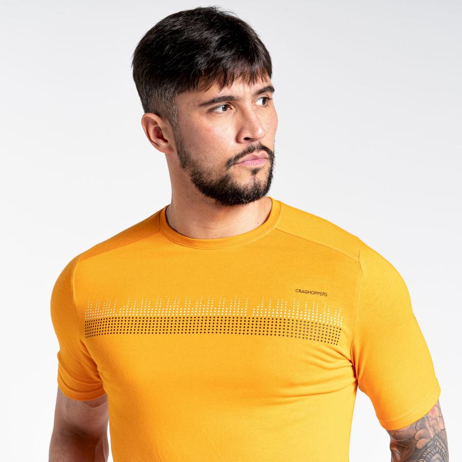 Men's Craghoppers Dynamic Short Sleeved T-Shirts Orange | RSR337JK