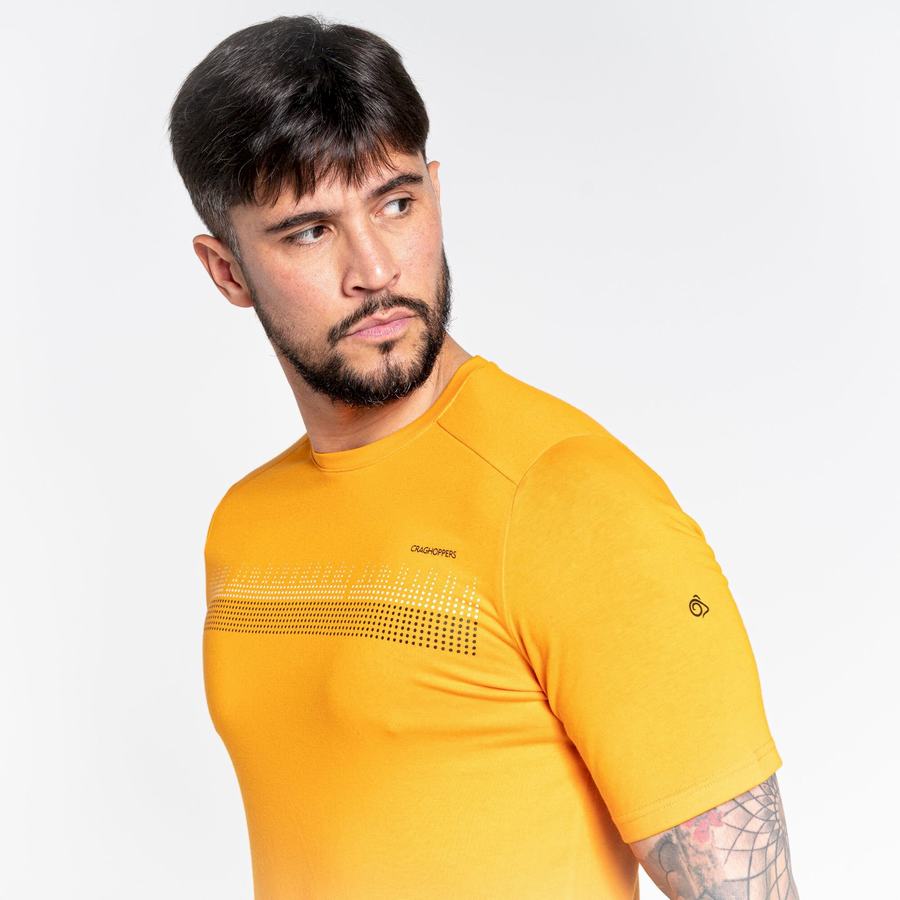 Men's Craghoppers Dynamic Short Sleeved T-Shirts Orange | RSR337JK