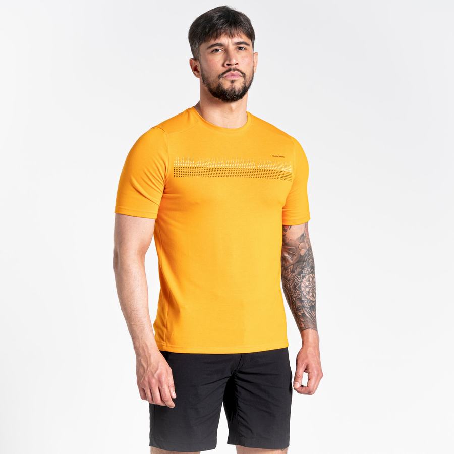 Men's Craghoppers Dynamic Short Sleeved T-Shirts Orange | RSR337JK