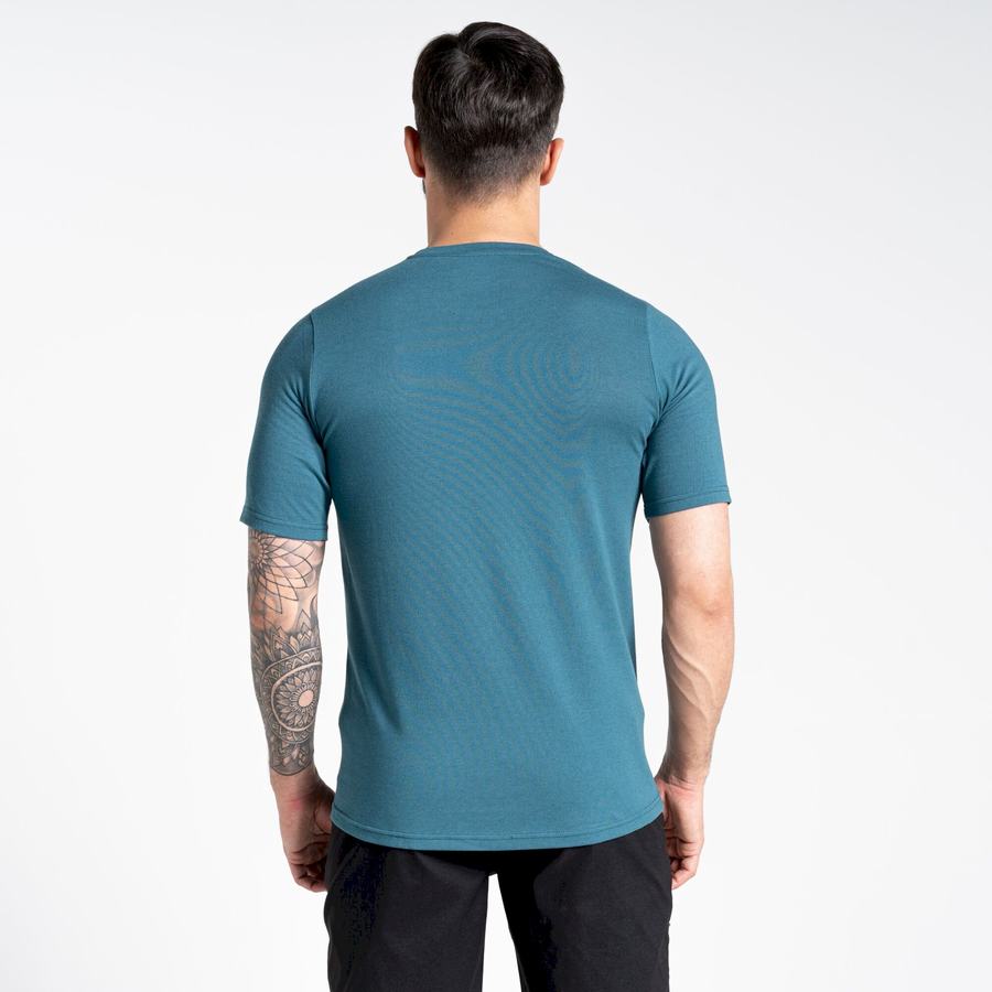 Men's Craghoppers Dynamic Short Sleeved T-Shirts Green | XKV6316GZ