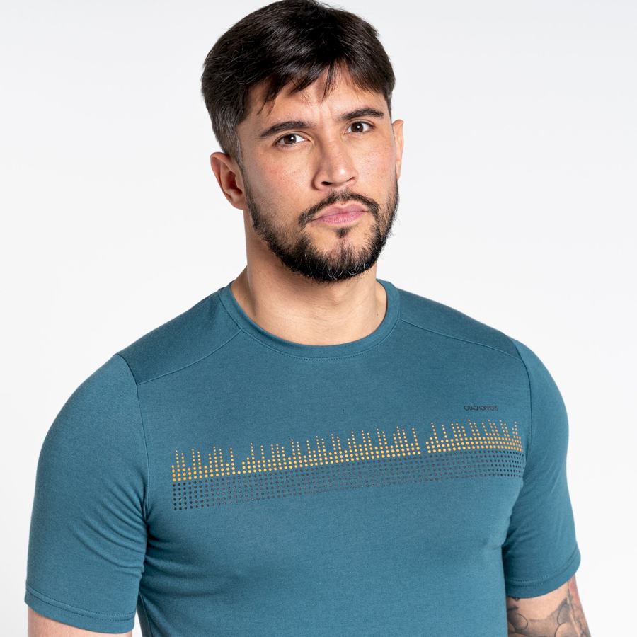 Men's Craghoppers Dynamic Short Sleeved T-Shirts Green | XKV6316GZ