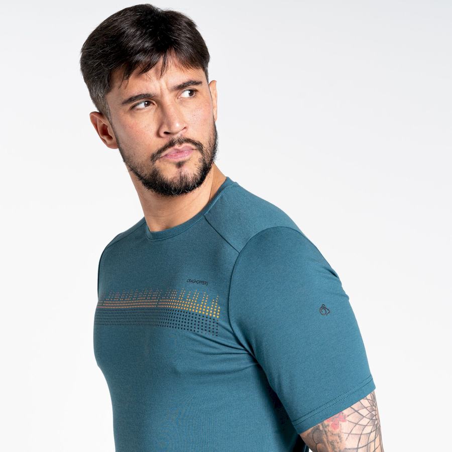 Men's Craghoppers Dynamic Short Sleeved T-Shirts Green | XKV6316GZ