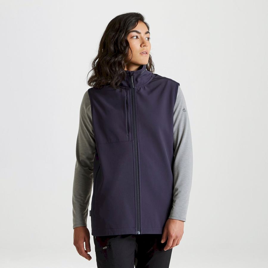 Men's Craghoppers Expert Basecamp Softshell Vest Gilets Navy | XJU444KI