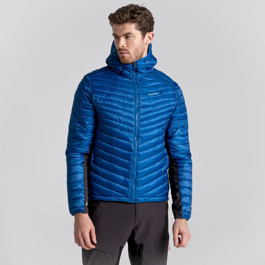 Men's Craghoppers ExpoLite Insulated Hooded Jackets Blue | ZOR4680NE