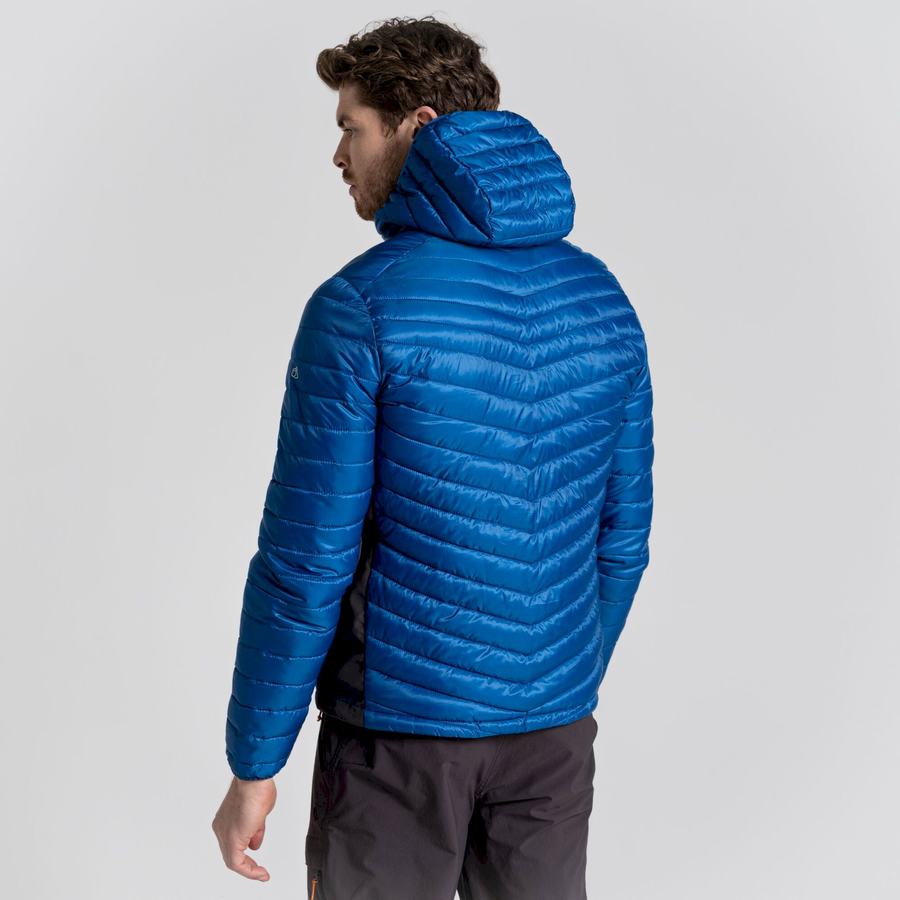 Men's Craghoppers ExpoLite Insulated Hooded Jackets Blue | ZOR4680NE