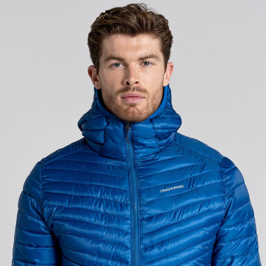 Men's Craghoppers ExpoLite Insulated Hooded Jackets Blue | ZOR4680NE