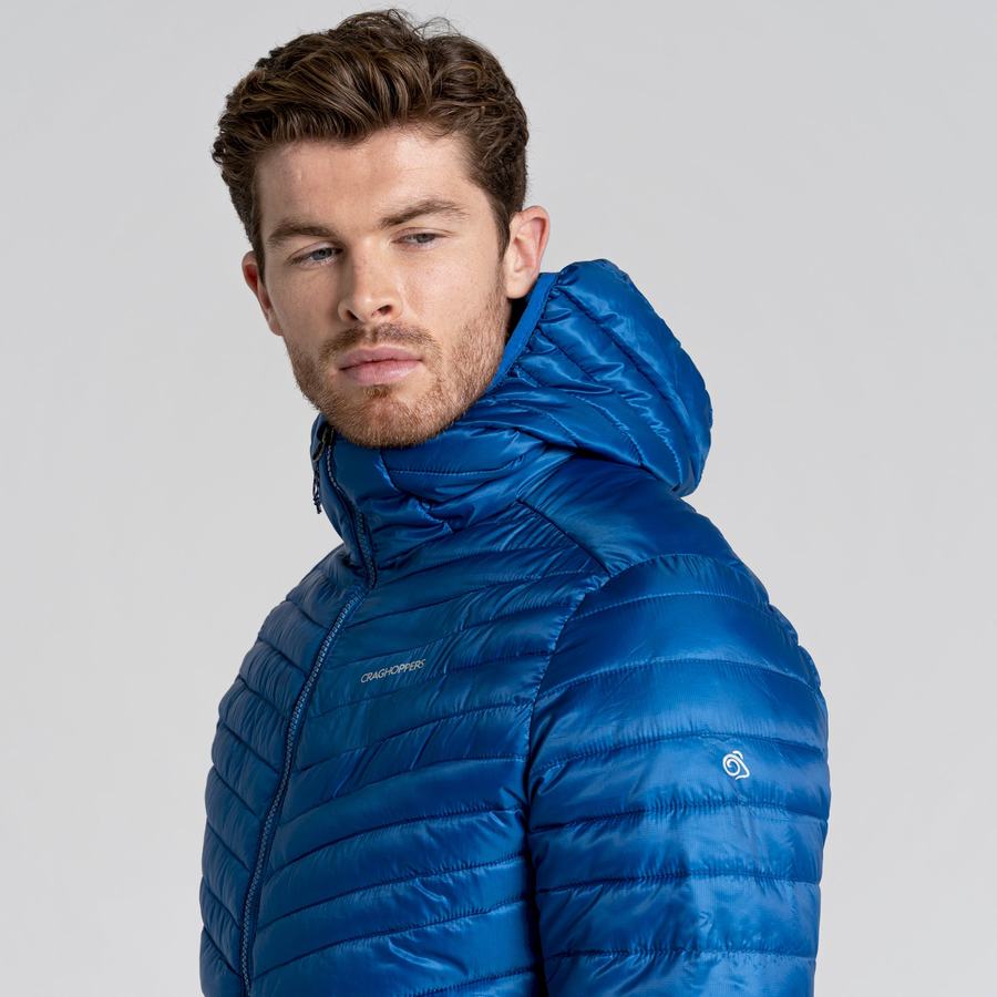 Men's Craghoppers ExpoLite Insulated Hooded Jackets Blue | ZOR4680NE