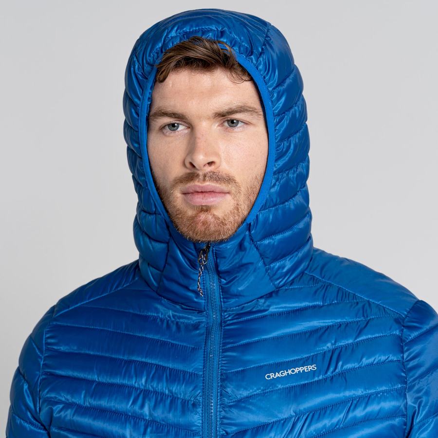 Men's Craghoppers ExpoLite Insulated Hooded Jackets Blue | ZOR4680NE