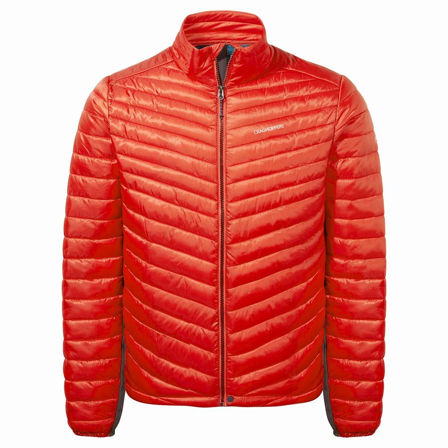 Men's Craghoppers ExpoLite Insulated Jackets Red | AJB6827VH