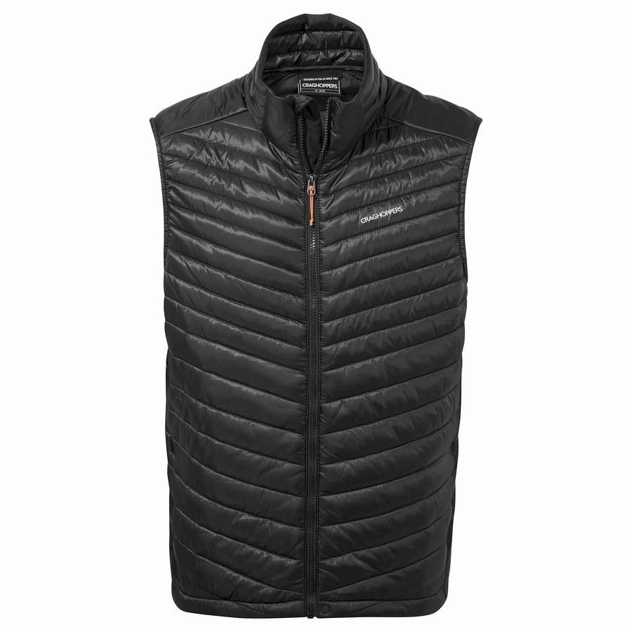 Men's Craghoppers ExpoLite Insulated Vest Gilets Black | TQN8547WP