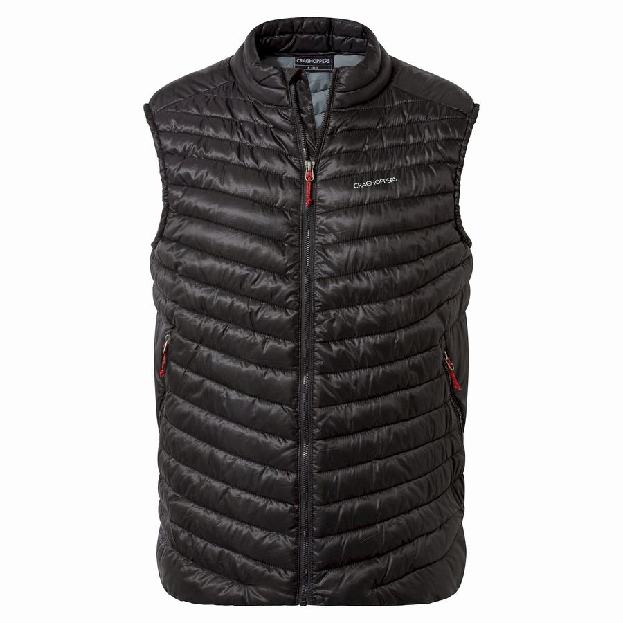 Men's Craghoppers ExpoLite Vest Gilets Black | CEQ524JL