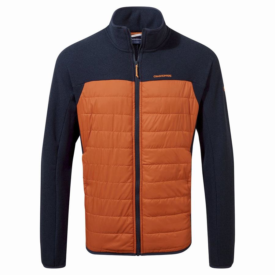 Men's Craghoppers Finglas Hybrid Jackets Blue Navy | IVK9622PP