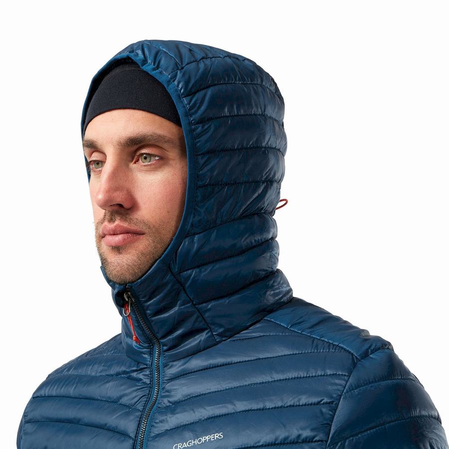 Men's Craghoppers Insulated ExpoLite Hooded Jackets Navy Blue | JOK2917FY