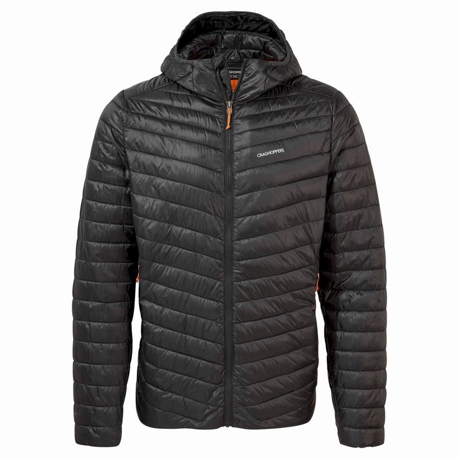 Men\'s Craghoppers Insulated ExpoLite Hooded Jackets Black Orange | PPJ6212VM