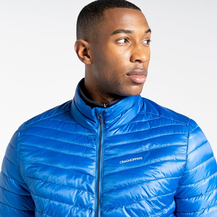 Men's Craghoppers Insulated ExpoLite Jackets Blue | MIC9647AO