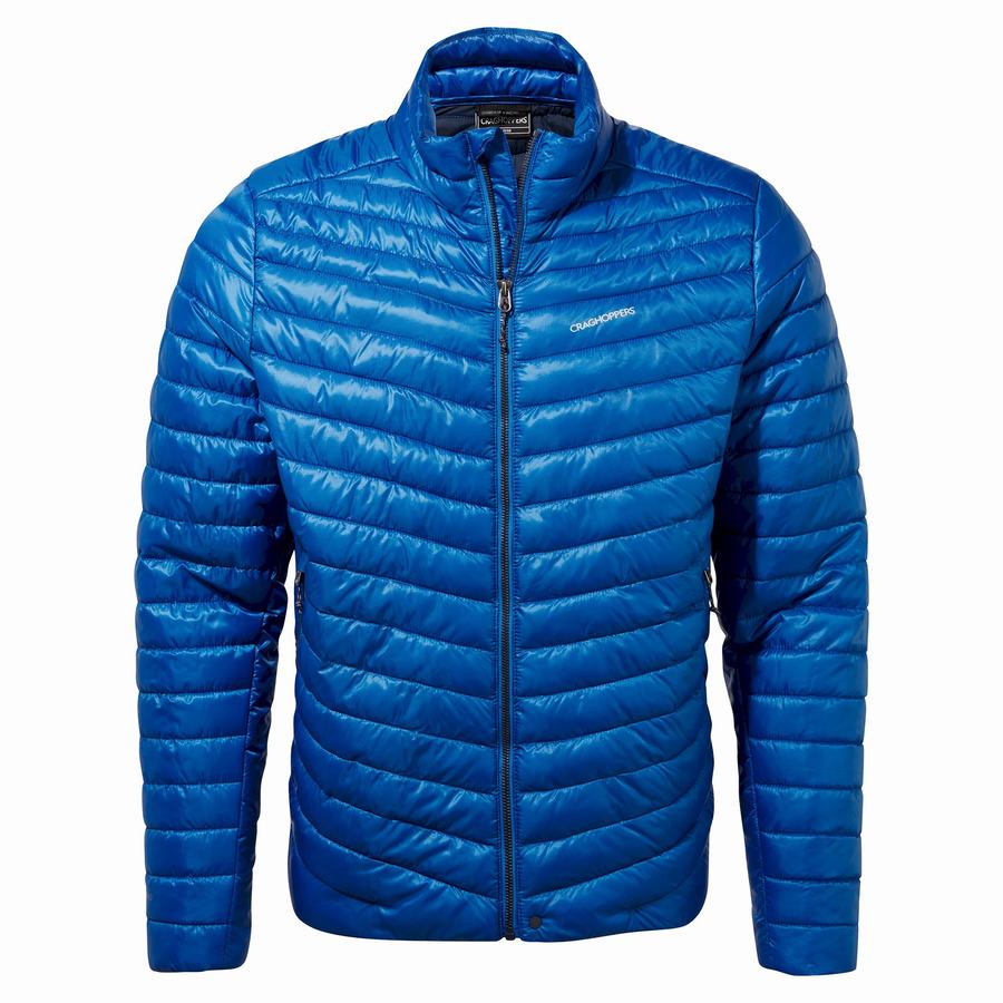 Men\'s Craghoppers Insulated ExpoLite Jackets Blue | MIC9647AO