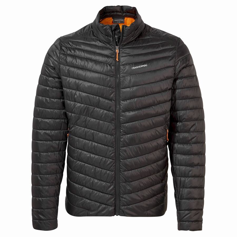 Men\'s Craghoppers Insulated ExpoLite Jackets Black Orange | WHL3796EG