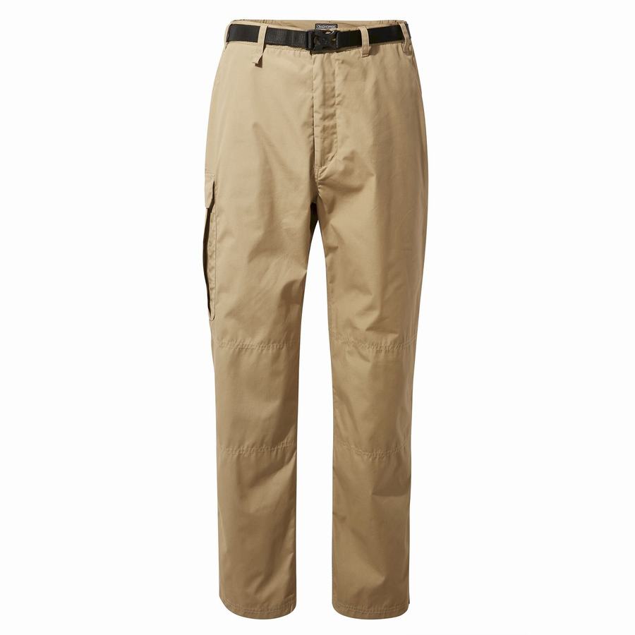 Men's Craghoppers Kiwi Classic Trousers Beige | EWZ10077KT