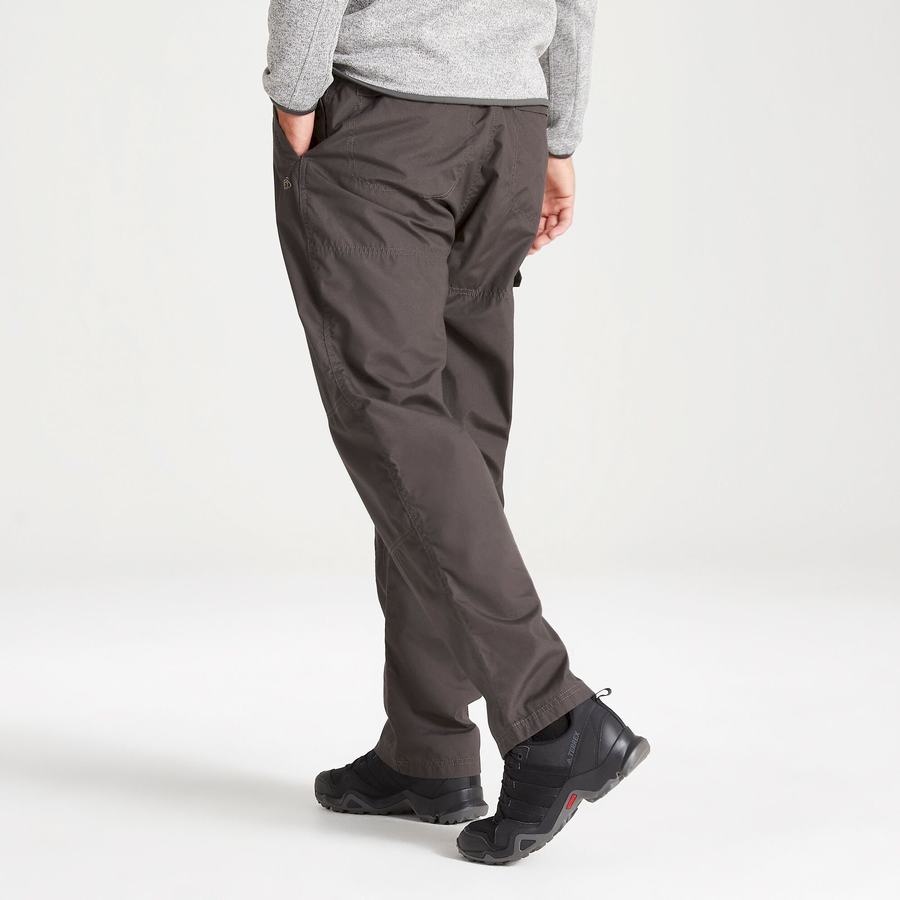 Men's Craghoppers Kiwi Classic Trousers Grey | PGD8834RJ