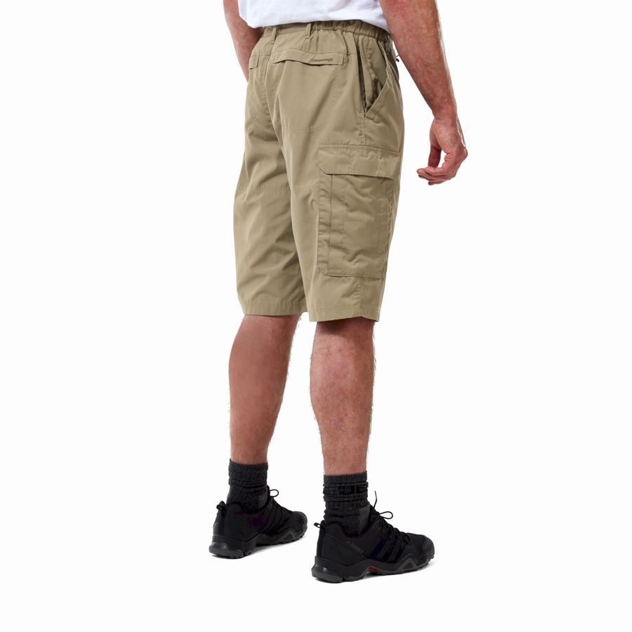 Men's Craghoppers Kiwi Long Shorts Khaki | MSV192HO