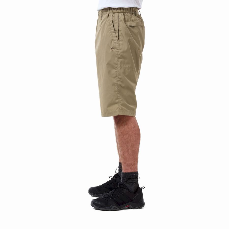 Men's Craghoppers Kiwi Long Shorts Khaki | MSV192HO