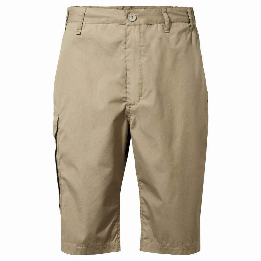 Men's Craghoppers Kiwi Long Shorts Khaki | MSV192HO