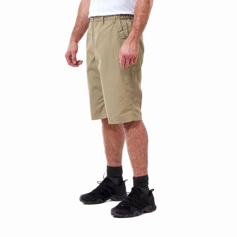 Men's Craghoppers Kiwi Long Shorts Khaki | MSV192HO