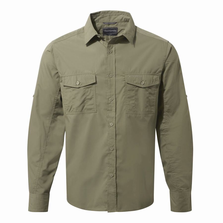 Men's Craghoppers Kiwi Long-Sleeved Shirts Green | XZC5513GM