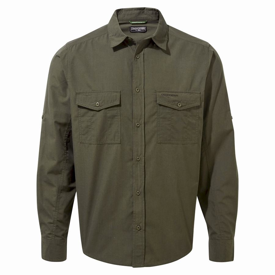 Men's Craghoppers Kiwi Long Sleeved Shirts Green | YNZ194EV