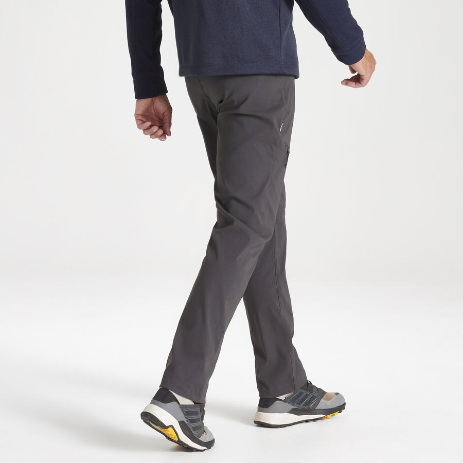 Men's Craghoppers Kiwi Pro II Trousers Grey | GQM1971GJ