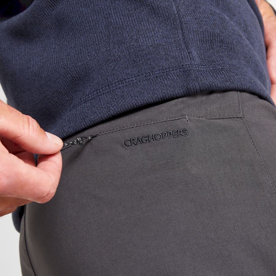 Men's Craghoppers Kiwi Pro II Trousers Grey | GQM1971GJ