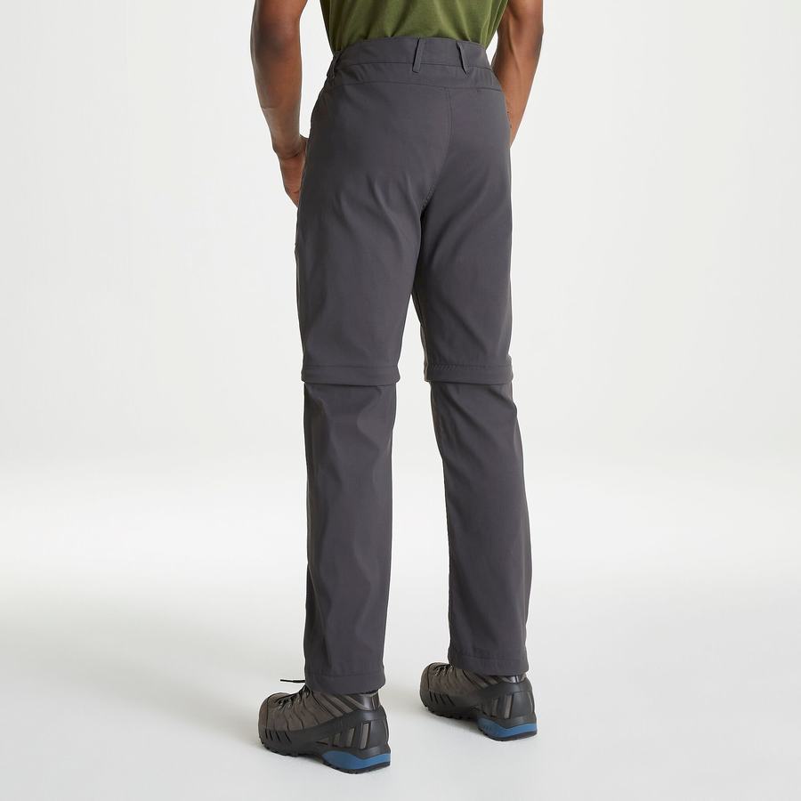 Men's Craghoppers Kiwi Pro II Trousers Grey | HHK581IU